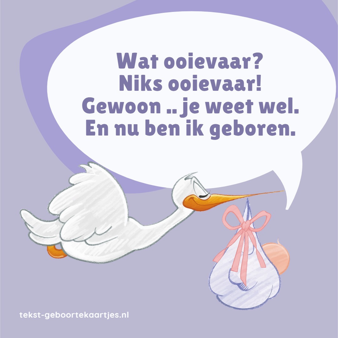 Wat ooievaar? Niks ooievaar! Gewoonm je weet wel. En nu ben ik geboren. Grappige geboorteteksten. #geboorte #ooievaar