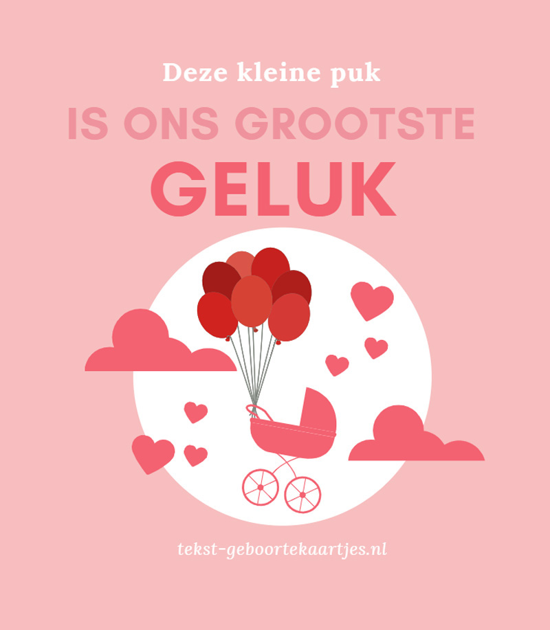 Deze kleine puk is ons grootste geluk. Mooie, lieve, leuke, korte geboortetekstjes