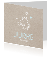 Geboortekaartje jongens Luckz