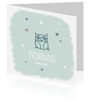 Geboortekaartje jongens Luckz