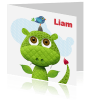 Geboortekaartje jongens Luckz